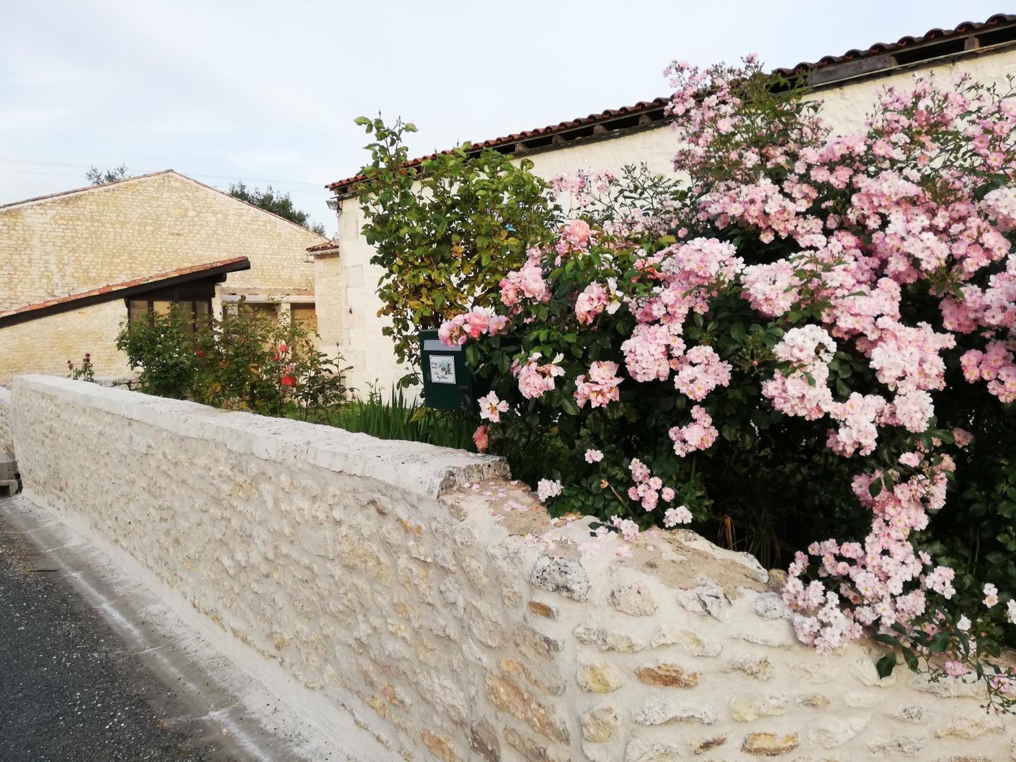 Gites Chez Belliveau Meursac Luaran gambar