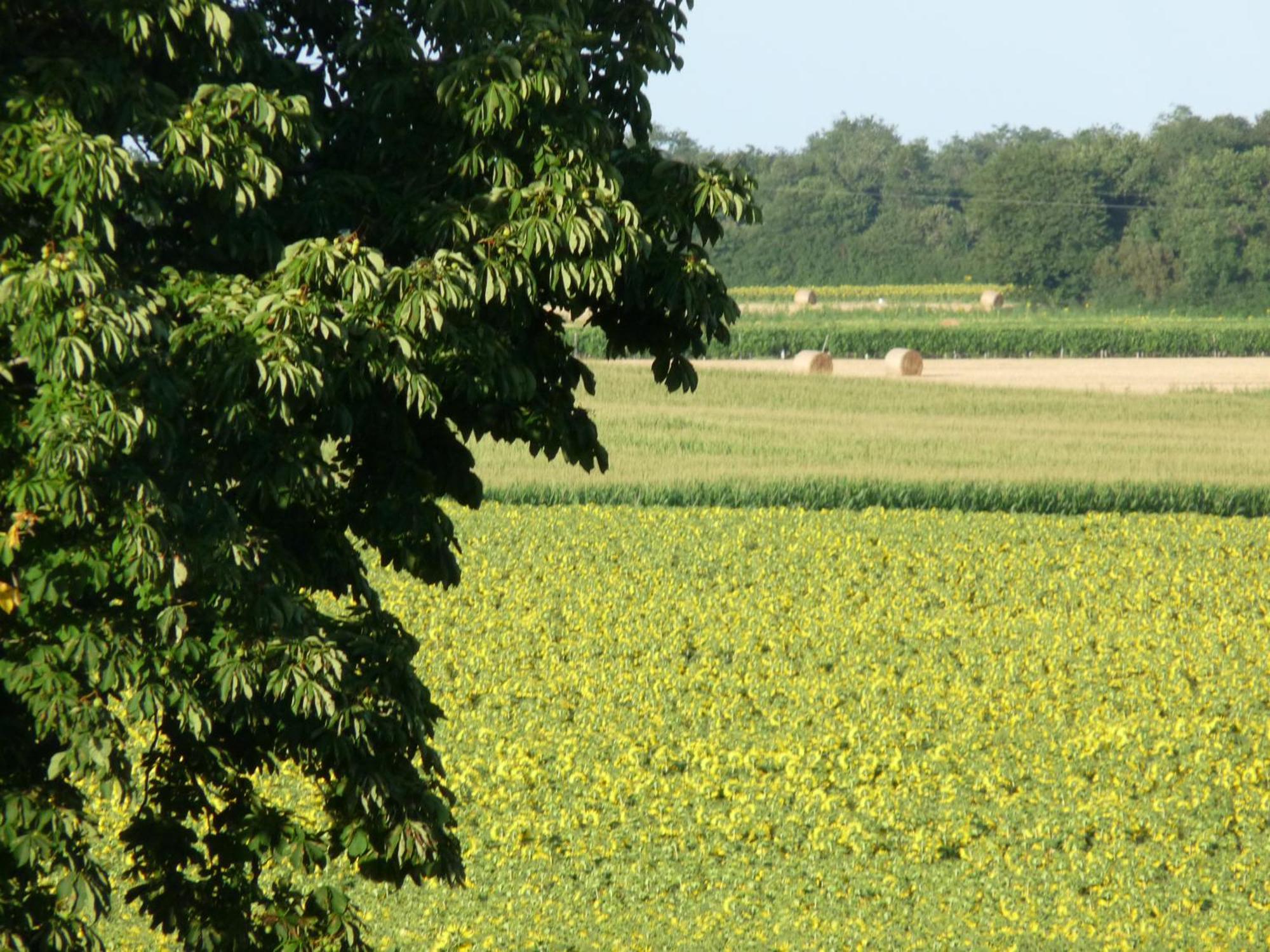 Gites Chez Belliveau Meursac Luaran gambar