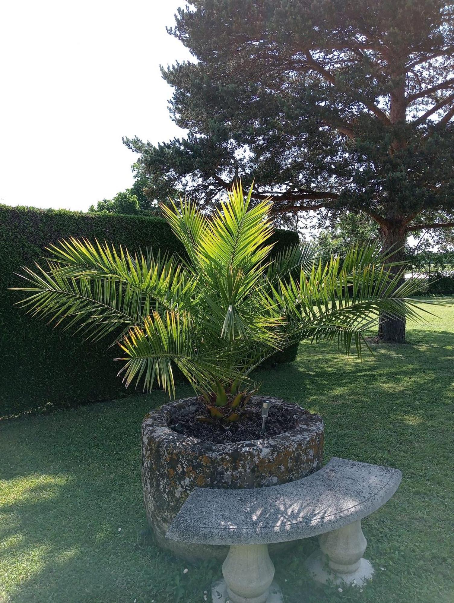 Gites Chez Belliveau Meursac Luaran gambar