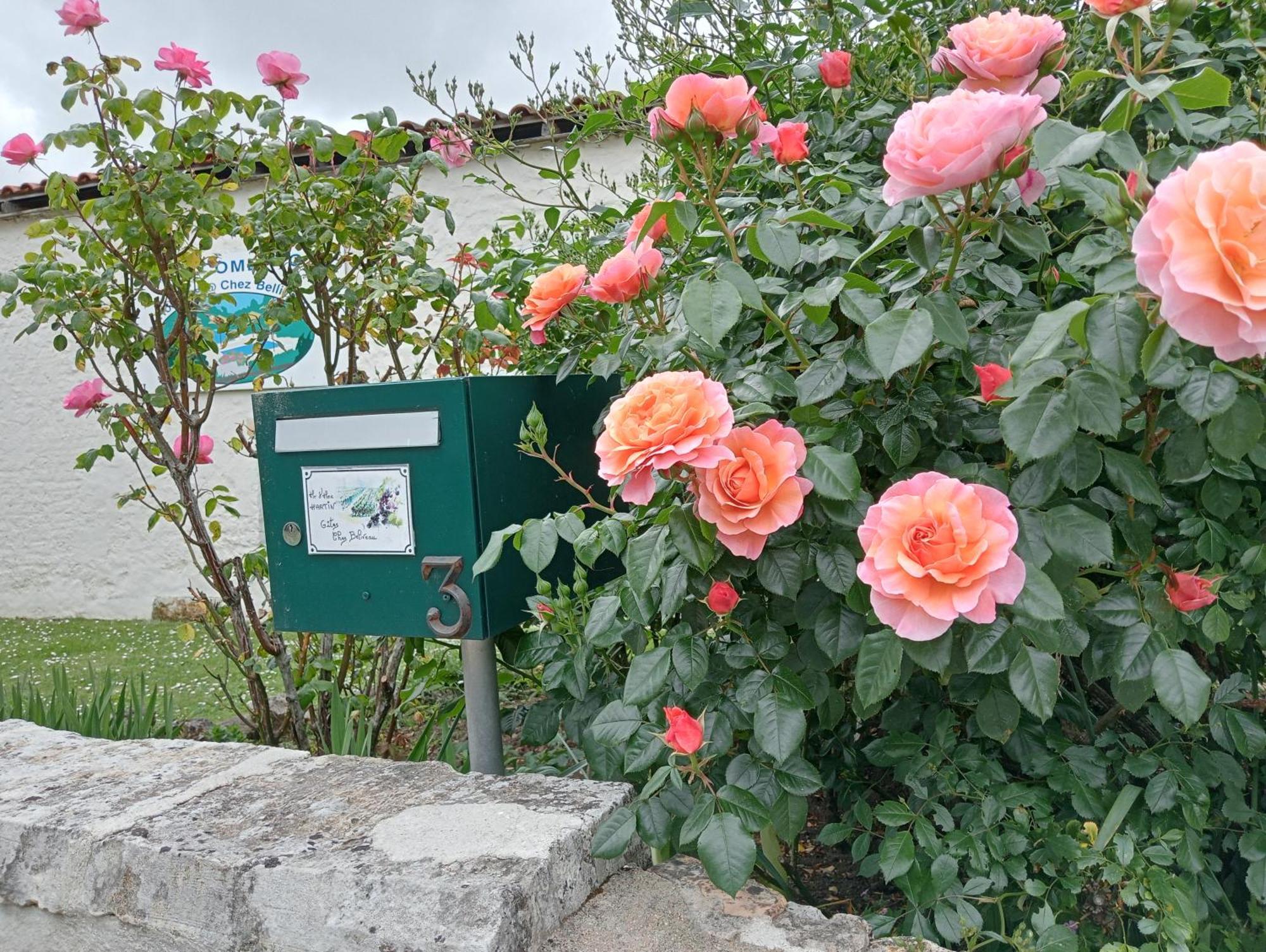 Gites Chez Belliveau Meursac Luaran gambar