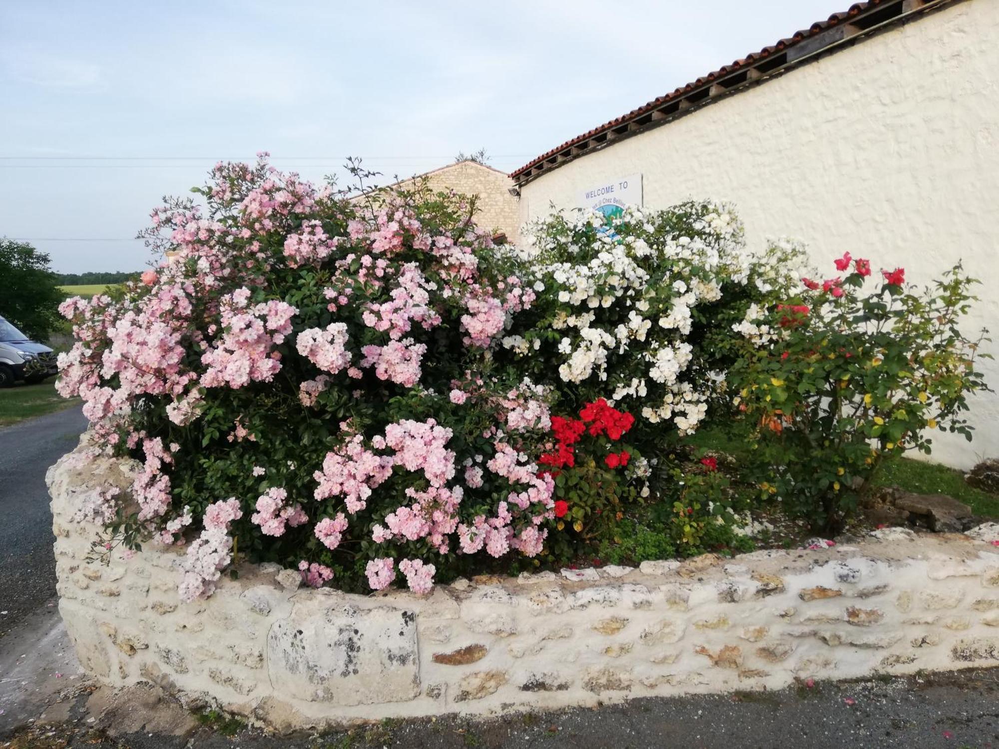 Gites Chez Belliveau Meursac Luaran gambar